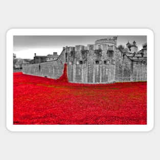 Tower of London Red Poppies Sticker